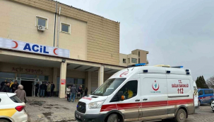 Şanlıurfa'da Otomobil Koyun Sürüsüne Daldı! Yaralılar Var