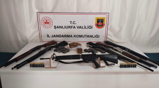 Şanlıurfa'da silah operasyonu!