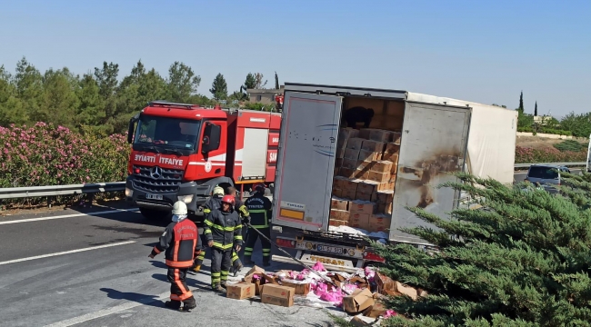 Şanlıurfa'da toz deterjan yüklü tır yandı 