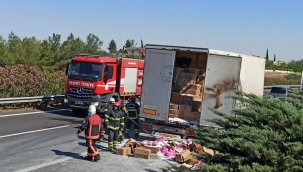 Şanlıurfa'da toz deterjan yüklü tır yandı