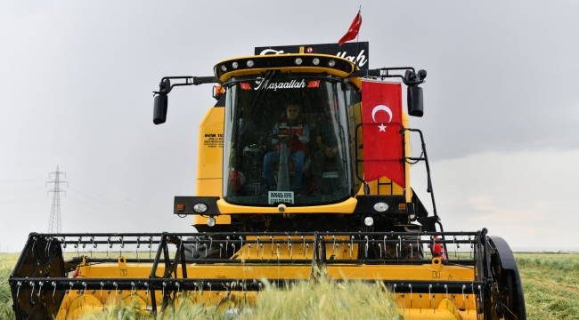 Şanlıurfa Valiliği, Hasat Kuralları Ve Anız Yangınlarının Önlenmesi Amacıyla Genel Emir Yayınladı