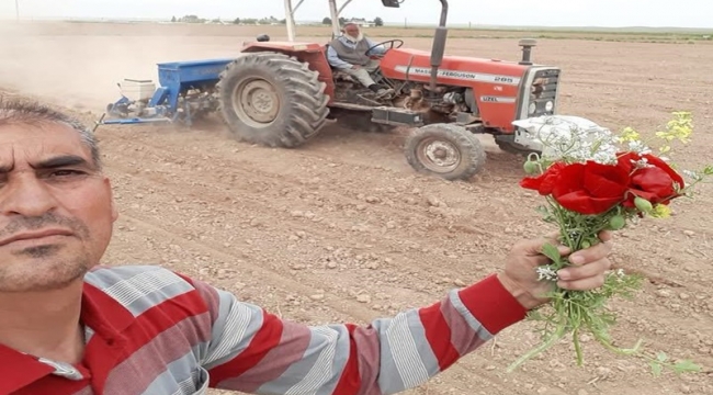 Şanlıurfalı Çiftçinin 1 Mayıs'ı: Alın Terine Çiçekli Kutlama