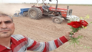Şanlıurfalı Çiftçinin 1 Mayıs'ı: Alın Terine Çiçekli Kutlama