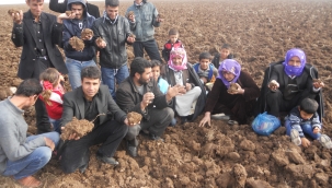 Tarımda Büyük Destek: Şanlıurfalı Üreticilerin Beklediği Ödeme Geldi