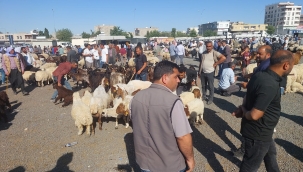Viranşehir'de Kurban Bayramı Öncesi Hayvan Pazarı Canlandı
