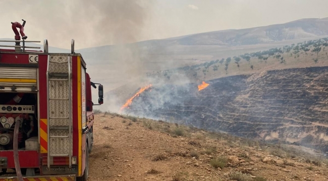 Birecik'te Yangın Paniği! Ekipler Seferber Oldu