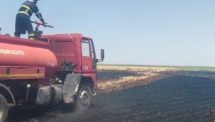 Buğday Tarlasında Facia: İpekyolu Kenarında Büyük Yangın!