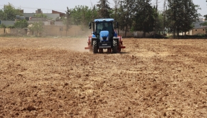  Büyükşehir Belediyesi'nden Soya Ekimiyle Toprak Verimliliğine Katkı