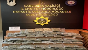 Şanlıurfa'da 35 Kilo 250 Gram Skunk Ele Geçirildi