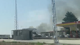 Şanlıurfa'da Anız Yangını Krizi: Tüm Uyarılara Rağmen Yasak Delindi