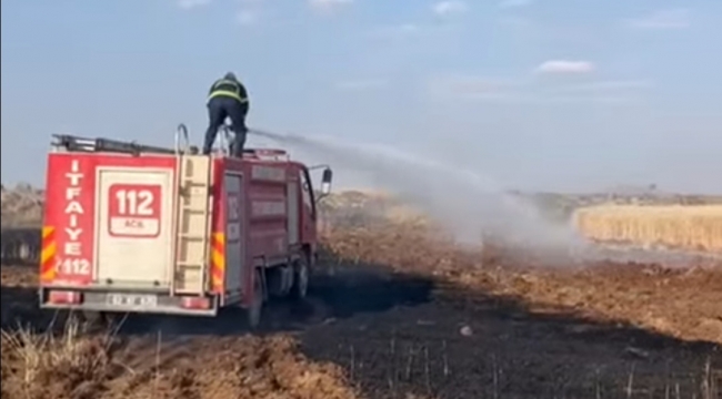 Şanlıurfa'da buğday tarlası küle döndü 