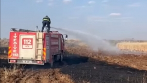 Şanlıurfa'da buğday tarlası küle döndü