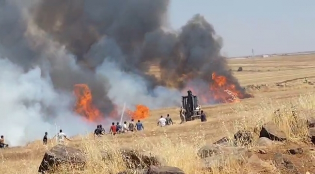 Şanlıurfa'da Buğday Yangını: Bin Dönüm Tarla Kül Oldu