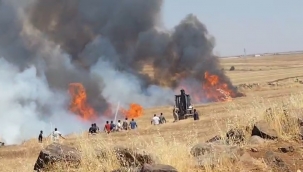 Şanlıurfa'da Buğday Yangını: Bin Dönüm Tarla Kül Oldu
