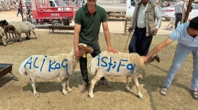Şanlıurfa'da kurban pazarında 'Ali Koç'  istifa 