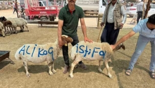 Şanlıurfa'da kurban pazarında 'Ali Koç'  istifa