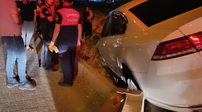 Şanlıurfa'da otomobil araziye uçtu