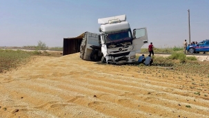 Şanlıurfa'da Tonlarca Buğday Yola Saçıldı!