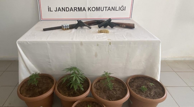 Şanlıurfa'da Uyuşturucu Operasyonu