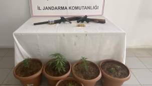 Şanlıurfa'da Uyuşturucu Operasyonu