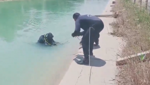 Şanlıurfa Sulama Kanalında Acı Son: 1 Kişi Hayatını Kaybetti, 1 Çocuk Hala Kayıp