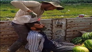 Şanlıurfalı Genç Tarım İşçisi Aşırı Sıcaktan Etkilendi