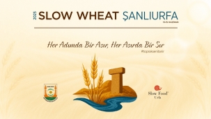 UNESCO Müzik Şehri Şanlıurfa, Buğdayın Yolculuğuna Ev Sahipliği Yapıyor