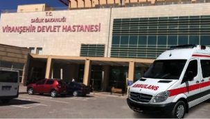 Viranşehir'de Feci Kaza: Otomobilden Çıkan Sürücüye TIR Çarptı, Hayatını Kaybetti