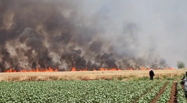 Viranşehir'de Yangın Faciası: 5 Yaralı