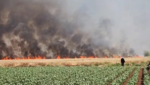 Viranşehir'de Yangın Faciası: 5 Yaralı