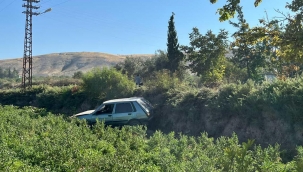 Birecik'te Otomobil Tarlaya Uçtu, 5 Yaralı