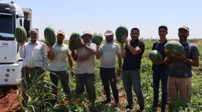 Büyükşehir'den Üreticiden Tüketiciye Dayanışma Köprüsü Çiftçiye Destek, Vatandaşa Katkı