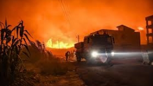 Eskişehir'de Orman Yangını Faciası: 10 Orman İşçisi Şehit Oldu, 12 Yaralı