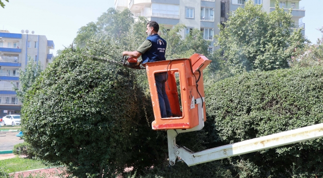 Haliliye Belediyesi'nden Parklara Yenileme Ve Güzelleştirme Çalışması
