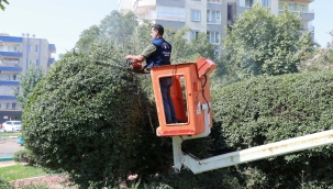 Haliliye Belediyesi'nden Parklara Yenileme Ve Güzelleştirme Çalışması