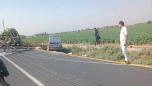 Harran'da Otomobil Şarampole Uçtu, Direğe Çarptı