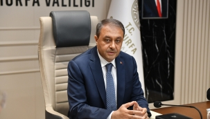 Sahipsiz Hayvanlara İlişkin Çalışmalar Çok Yönlü Ele Alındı 