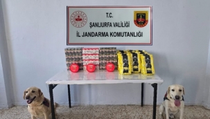 Şanlıurfa'da 3 Bin 210 Adet Gümrük Kaçağı Sigara Ele Geçirildi