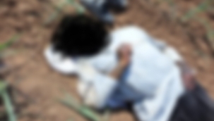 Şanlıurfa'da Mısır Tarlasında Erkek Cesedi Bulundu