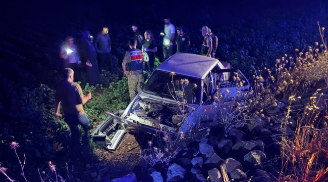 Şanlıurfa'da Otomobil Tarlaya Uçtu