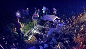 Şanlıurfa'da Otomobil Tarlaya Uçtu