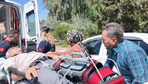 Şanlıurfa'da Sağlık Çalışanlarına Yönelik Şiddete Karşı "Beyaz Kod" Tatbikatı Yapıldı. 