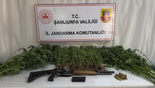 Şanlıurfa'da silah kaçakçılarına büyük darbe 