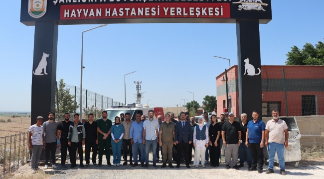 Şanlıurfa'da Sokak Hayvanları İçin Büyük Adım: Doğal Yaşam Alanı Ve Kısırlaştırma Seferberliği Başlıyor