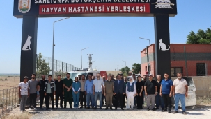 Şanlıurfa'da Sokak Hayvanları İçin Büyük Adım: Doğal Yaşam Alanı Ve Kısırlaştırma Seferberliği Başlıyor