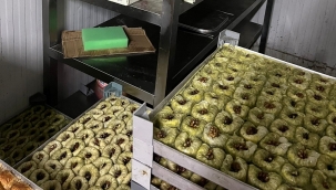 Şanlıurfa'da Tarihi Geçmiş Süt ve Fare Pisliği!