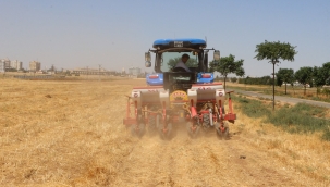 Şanlıurfa'da Yeni Tarım Modeli Uygulandı