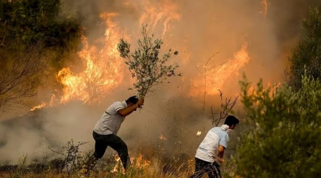 Şanlıurfa Valisi Şıldak'tan Uyarı