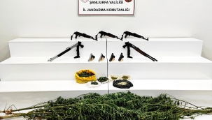 Viranşehir'de Jandarmadan Nokta Operasyon