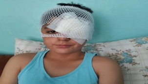 Viranşehir'de Köpekten Kaçan Çocuğa Otomobil Çarptı